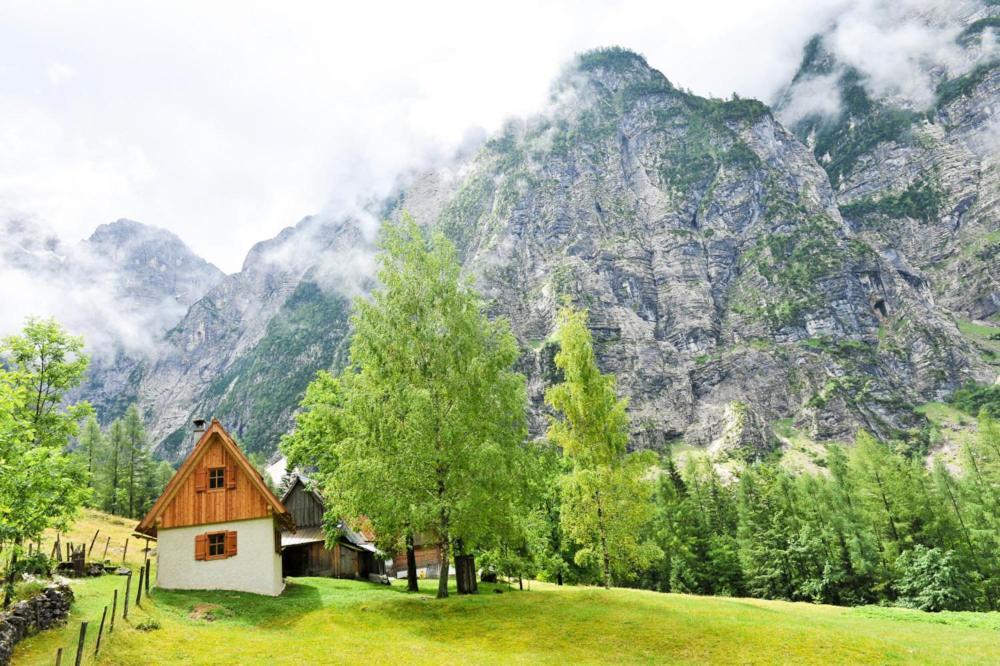 Cottages Kravanja Trenta Exterior photo